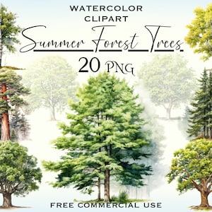 Summer forest trees clipart, Tree species png images bundle, Transparent background green tree woods digital artwork, Free commercial use