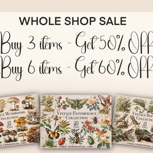 May include: A digital download of three vintage illustrations featuring mushrooms, insects, and reptiles. The illustrations are in a watercolor style and feature a variety of colors, including green, brown, red, and yellow. The text "Buy 3 items - Get 50% Off" and "Buy 6 items - Get 60% Off" is displayed at the top of the image.