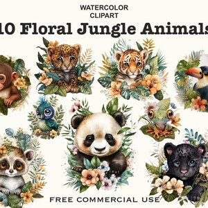 Animaux de la jungle png, clipart animaux mignons, clipart bébé animal, bébés animaux clipart, clipart jungle, clipart mignon, clipart tropical