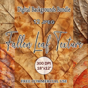 Puede incluir: Un paquete de fondos digitales de 12 imágenes JPEG de alta resolución que presentan fotos de primer plano de hojas caídas. Las imágenes son de 300 DPI y miden 18 pulgadas por 12 pulgadas. El texto "Digital Backgrounds Bundle", "12 JPEG", "Fallen Leaf Texture", "300 DPI", "18"x12"", y "FREE COMMERCIAL USE" está incluido en la imagen.