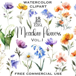 Clipart de flores silvestres em aquarela, flores em aquarela de prado, clipart de verão, flores silvestres PNG, clipart floral, flores minúsculas com uso comercial