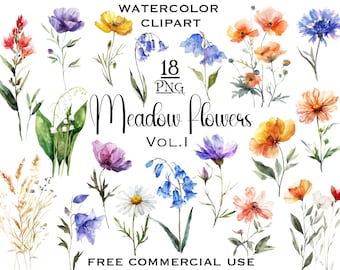 Wild flowers watercolor clipart, Meadow watercolor flowers, Summer clipart, Wildflower PNG, Floral clipart, Tiny flowers with commercial use