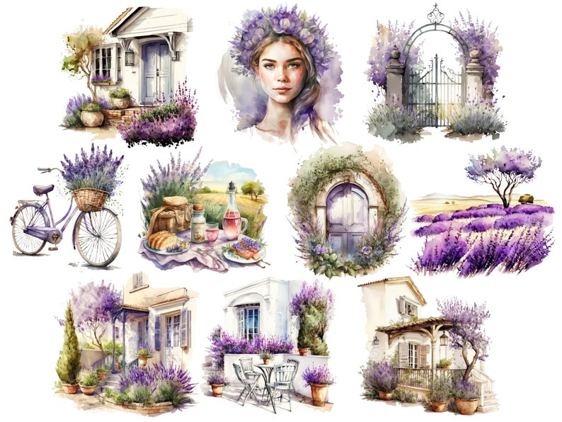 Pu&ograve; includere: Un'illustrazione ad acquerello di un campo di lavanda con una casa bianca, una bicicletta, una donna con una ghirlanda di lavanda, un cancello e una scena da picnic. L'illustrazione &egrave; in stile vintage e presenta una variet&agrave; di piante e fiori di lavanda.