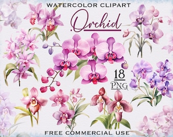 Watercolor Orchid PNG Bundle, Digital orchid painting, Pink flower clipart, Watercolor tropical flowers clipart, Pink floral clipart