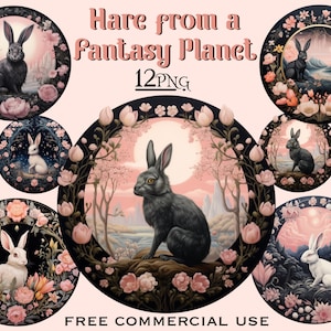 Mond Hase PNG Bundle, Fantasy Hase Malerei, Mystische himmlische Clipart, Florale Mond Clipart, Fee Tier Clipart, Nachtlandschaft Clipart