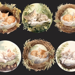 Puede incluir: Seis ilustraciones de gatitos durmiendo en varias poses, cada uno acurrucado en un nido de ramas marrones con hojas verdes y flores. Los gatitos son una mezcla de naranja y blanco, y gris y blanco.