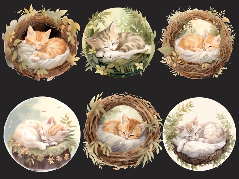 Puede incluir: Seis ilustraciones de gatitos durmiendo en varias poses, cada uno acurrucado en un nido de ramas marrones con hojas verdes y flores. Los gatitos son una mezcla de naranja y blanco, y gris y blanco.