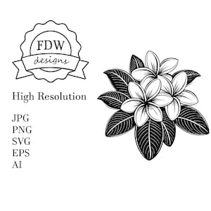 Könnte beinhalten: Schwarz-weiß-Illustration eines Straußes Frangipani-Blumen mit Blättern. Die Blüten haben jeweils fünf Blütenblätter und sind in einer Traube angeordnet. Die Blätter sind lang und schmal.