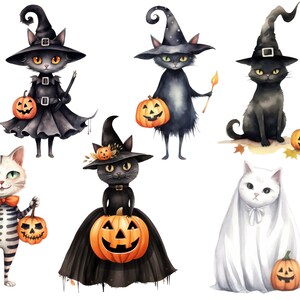 May include: A set of seven Halloween-themed illustrations featuring black cats dressed as witches and ghosts, holding jack-o'-lanterns.