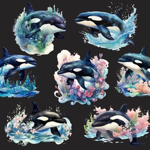 May include: Eight watercolor illustrations of orcas jumping out of the water. Each orca is surrounded by a colorful floral and water design.