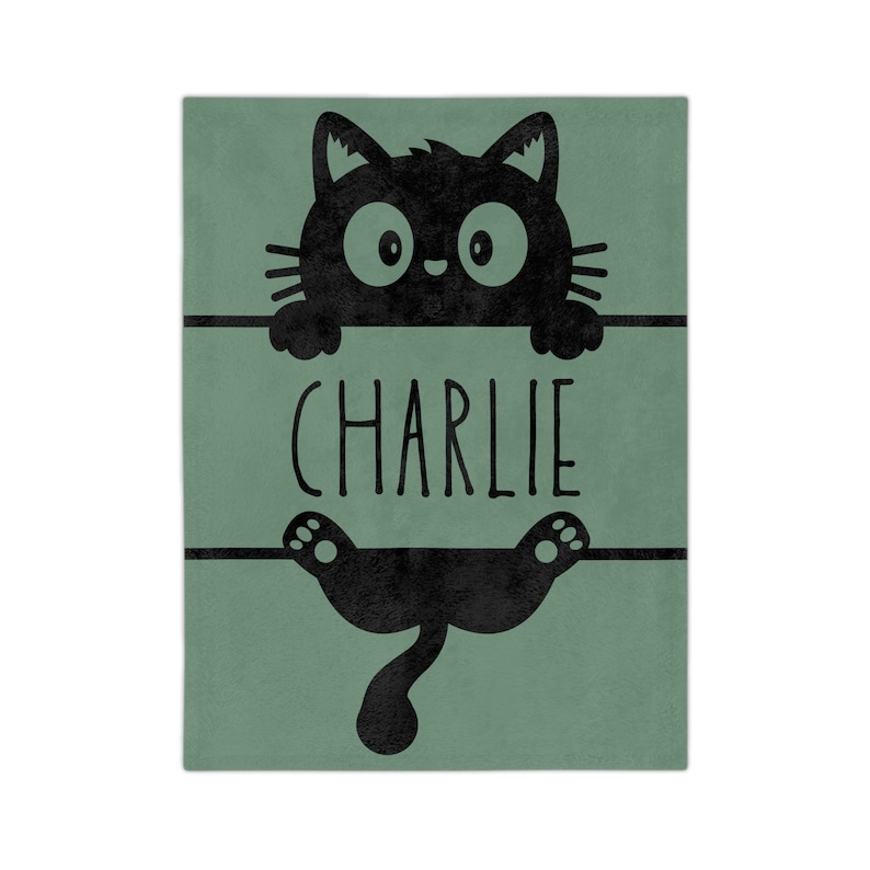 Personalized Black Cat Blanket, Cozy Pet Cat Throw Blanket, Customized Cat Throw, Velveteen Minky Comfy Blanket, Custom Name Blanket Gift image 8