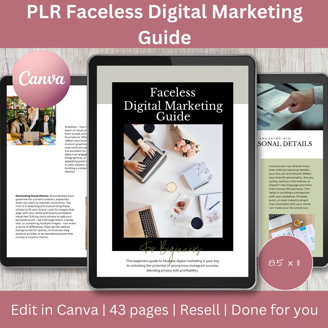 PLR Faceless Digital Marketing Guide: Canva Template (digital Download ...