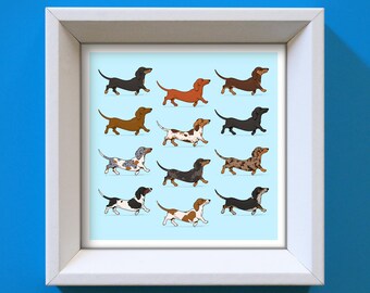 Smooth Dachshund Art Print: Colorful Sausage Dog Breeds