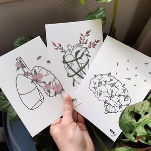 Carte postale A6 - Anatomie florale minimaliste