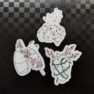 Sticker autocollant - Anatomie florale minimaliste