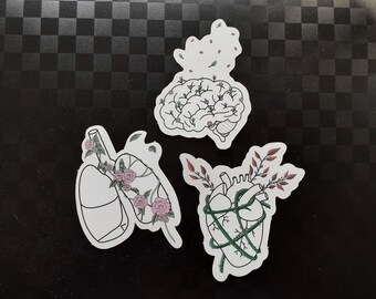 Sticker - Minimalist Floral Anatomy
