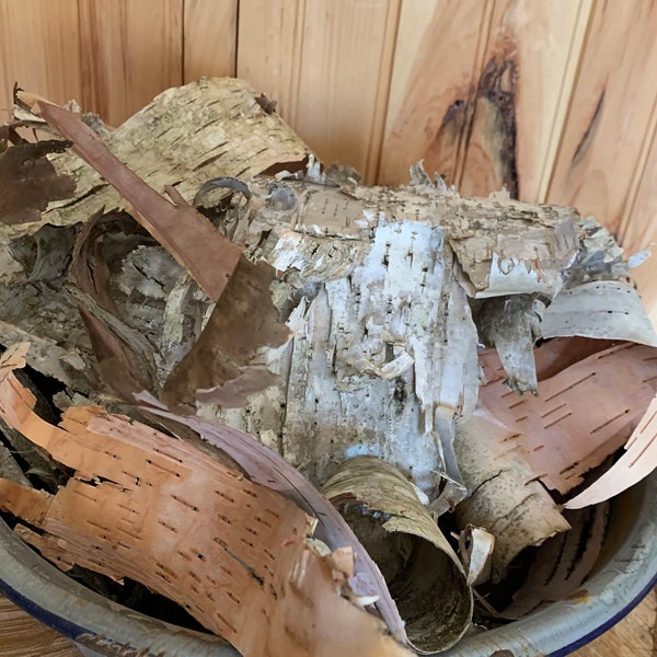 Birch Bark