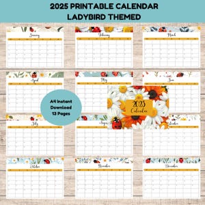 A4 Landscape Calendar Pages Bundle, Ladybird Themed, 2025 Year Calendar, 12 Month Printable Calendar, Desk Calendar