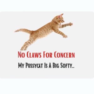 Cat Accessories-Cat food mat-Pet Food Mat for cat-cat lover lady gift-funny cat gift-strong and easy to clean-