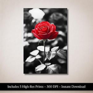 Red Rose Wall Art | Black and White Floral Photography | Romantic Minimalist Printable Flower Decor | Crimson Elegance Digital Download