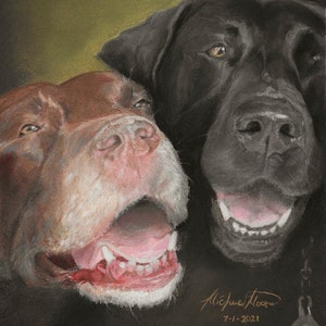 Nupastel Custom Pet Portrait