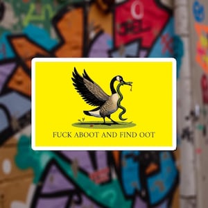 Könnte beinhalten: Ein rechteckiger Aufkleber mit gelbem Hintergrund zeigt eine Gans mit einer Schlange im Schnabel. Die Gans hat schwarze und braune Flügel. Der Text "FUCK ABOOT AND FIND OOT" ist unten auf dem Aufkleber in Schwarz gedruckt.