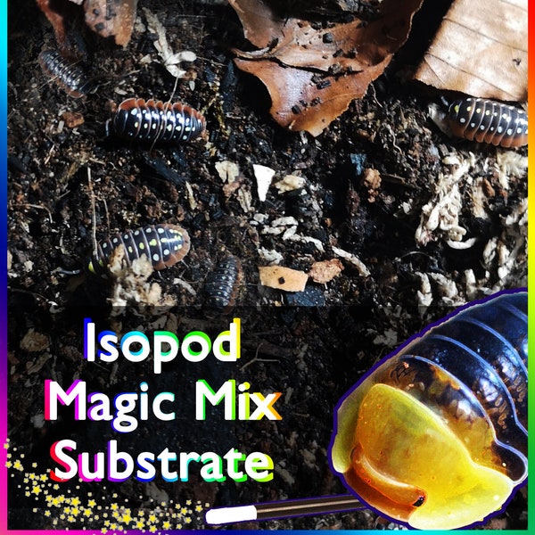 Organic Isopod Magic Mix Substrate Springtails - Snails Cockroach Milipedes Stick Insect Beetle Soil