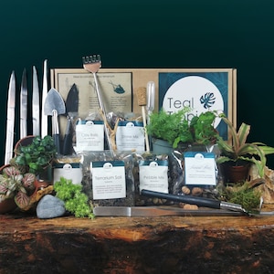 Terrarium Tools Kit DIY - Gift Set Soil Pebbles Stones Leca Plants Moss Pack Springtails Substrate Fathers Day