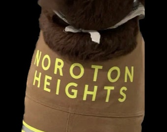 Dog Firemen Turnout Gear