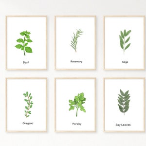 Culinary Herb Prints: Kitchen Botanical Art (Digital Download)