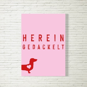 Poster Hereingedackelt pink/rot | Dackel | Dackelliebe