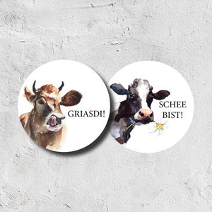 Bierdeckel Griasdi Kuh| Bierfuizl | Bierdeckelpappe