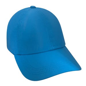 Boné de rabo de cavalo de verão com suporte VIP, presente para cegos e deficientes visuais, deficiência invisível, presente de defensor, educação para cegos