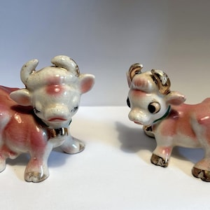 Japan Cow Pepper - Etsy