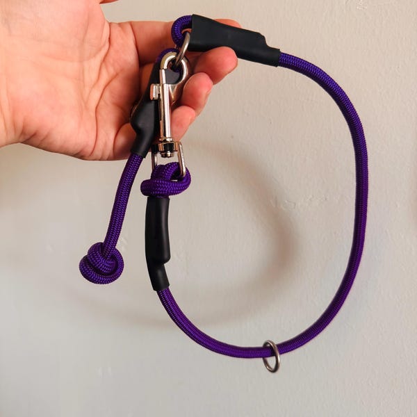 DUO Dominantes Hundehalsband, Schlupfhalsband