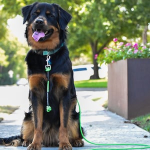 May include: A black and tan dog with a green collar and leash sits on a sidewalk. The dog has a pink tongue and appears to be smiling. The leash is a bright green color. The background includes trees and a flower box.
