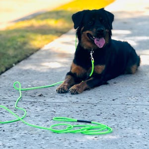 May include: A black and tan Rottweiler dog with a neon green leash is lying on a concrete surface. The dog has its tongue out. The leash is coiled on the ground.