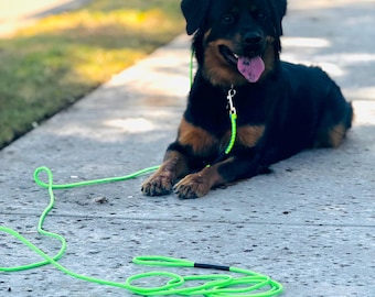 Dog Leash, Long Line, Training Leash, Slip Leash, Multi Purpose Leash