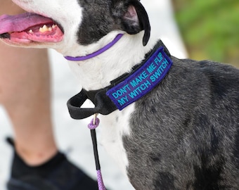 Dog Slip Leash, Training Leash