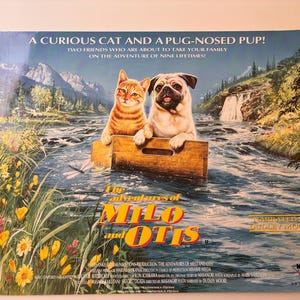 May include: A movie poster for "The Adventures of Milo and Otis" features an orange tabby cat and a pug dog in a wooden crate floating on a river. The poster has text that reads "A Curious Cat and a Pug-Nosed Pup!" and "Two friends who are about to take your family on the adventure of nine lifetimes!"