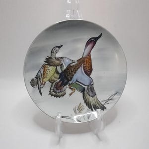Vintage Wall Hanging Duck/Geese Hand painted Plate