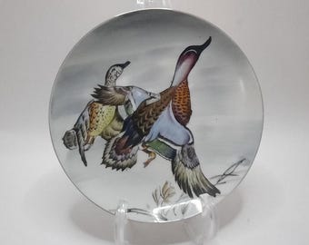 Vintage Wall Hanging Duck/Geese Hand painted Plate