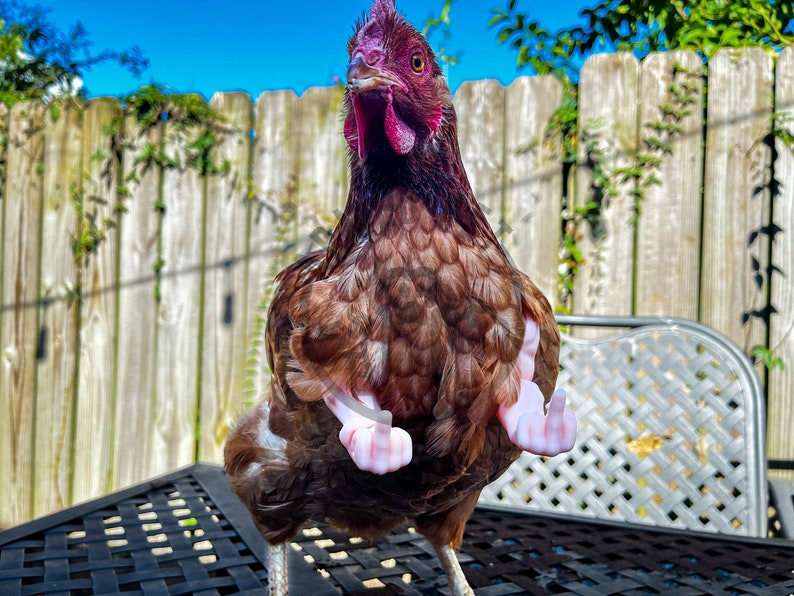 Lustige Hühnerarme, Mittelfinger starke Arme für Hühner, Hühnerarme-Geschenk, Hühner-Foto-Requisite, Neuheitsgeschenk-Meme Bild 5