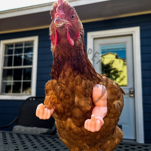 Funny Chicken Arms, Middle Finger Strong Arms for chickens, Chicken Arms gift, Chicken Photo Prop, Novelty Gift Meme