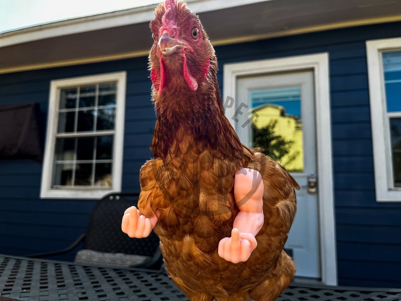 Lustige Hühnerarme, Mittelfinger starke Arme für Hühner, Hühnerarme-Geschenk, Hühner-Foto-Requisite, Neuheitsgeschenk-Meme Bild 1