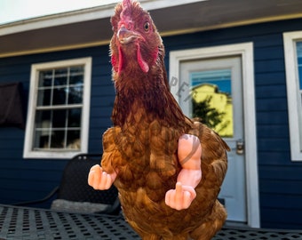 Funny Chicken Arms, Middle Finger Strong Arms for chickens, Chicken Arms gift, Chicken Photo Prop, Novelty Gift Meme
