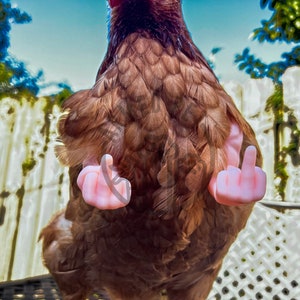 Lustige Hühnerarme, Mittelfinger starke Arme für Hühner, Hühnerarme-Geschenk, Hühner-Foto-Requisite, Neuheitsgeschenk-Meme Bild 3