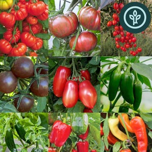 May include: A collage of various fresh vegetables, including red and brown tomatoes, green and red peppers, and green chili peppers. The image includes the text "Signature Vegetable Starter Plant Variety Pack".