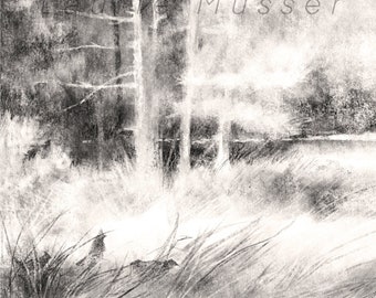 Charcoal, drawing, Ruffed Grouse, plein air, landscape, wildlife, bird, art print, print, giclee, gamebird, nature lover, gift