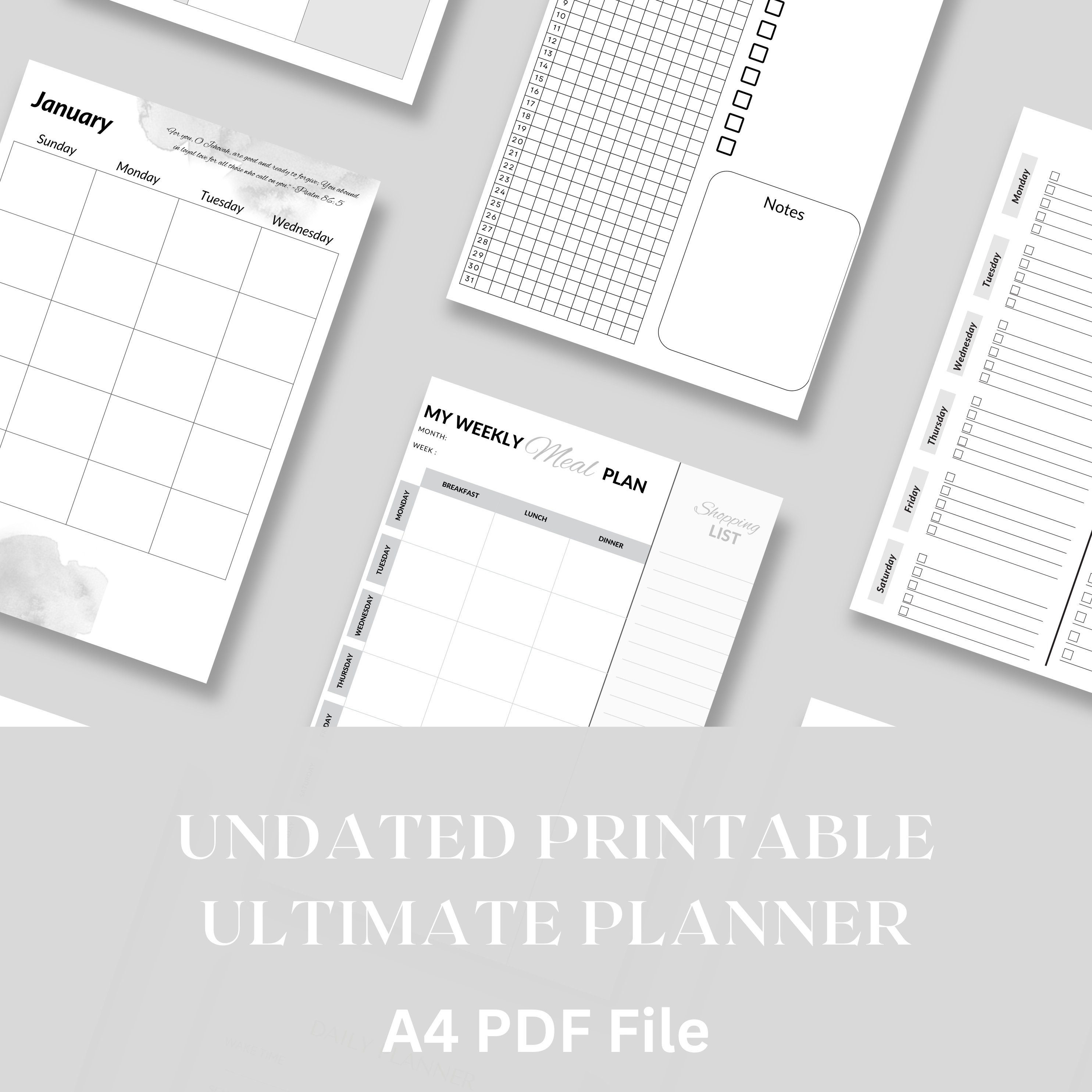 2024 Planner, UNDATED 2024 Printable Planner, Daily, Weekly, Monthly ...